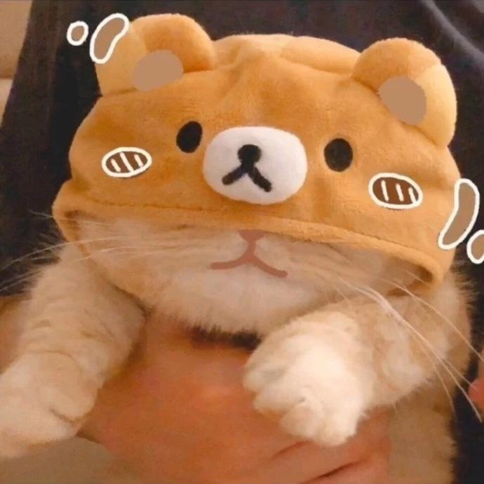 苏苏