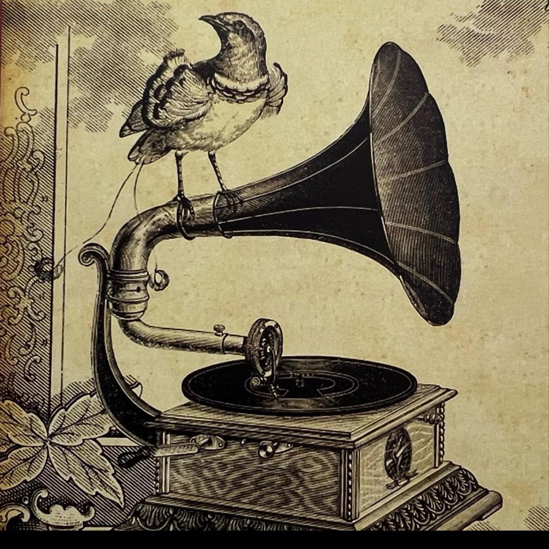 HMV