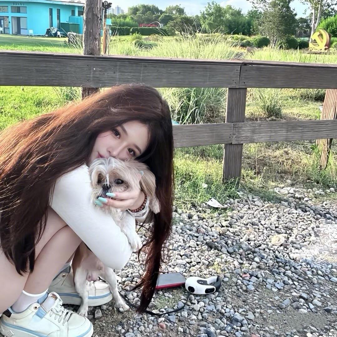 小灰灰🔥
