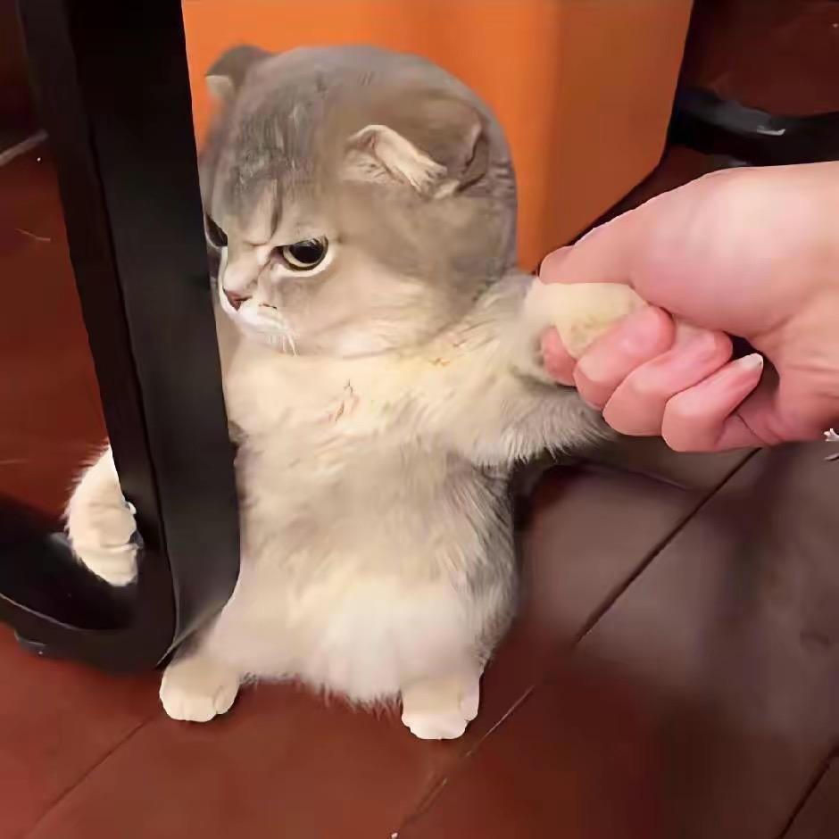 女公子