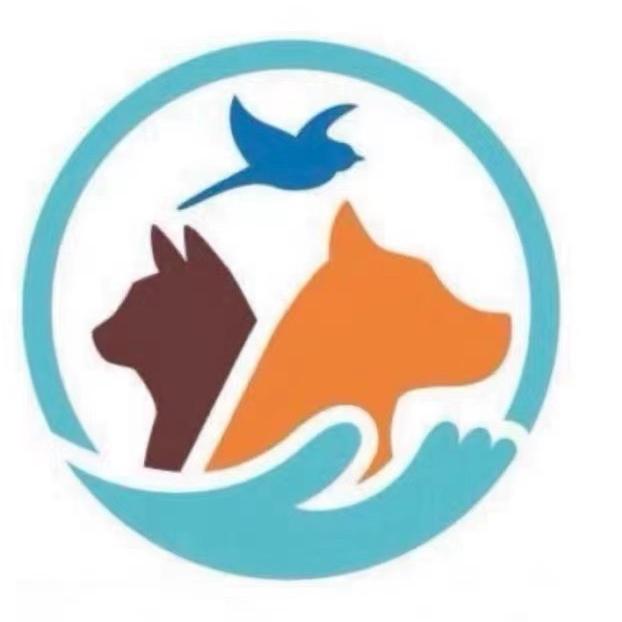 猫不理狗子高端定制宠物