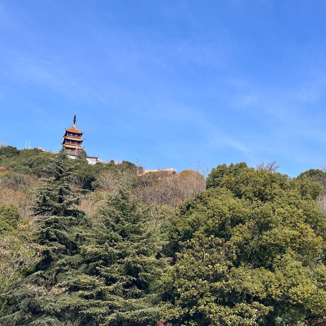 柠檬