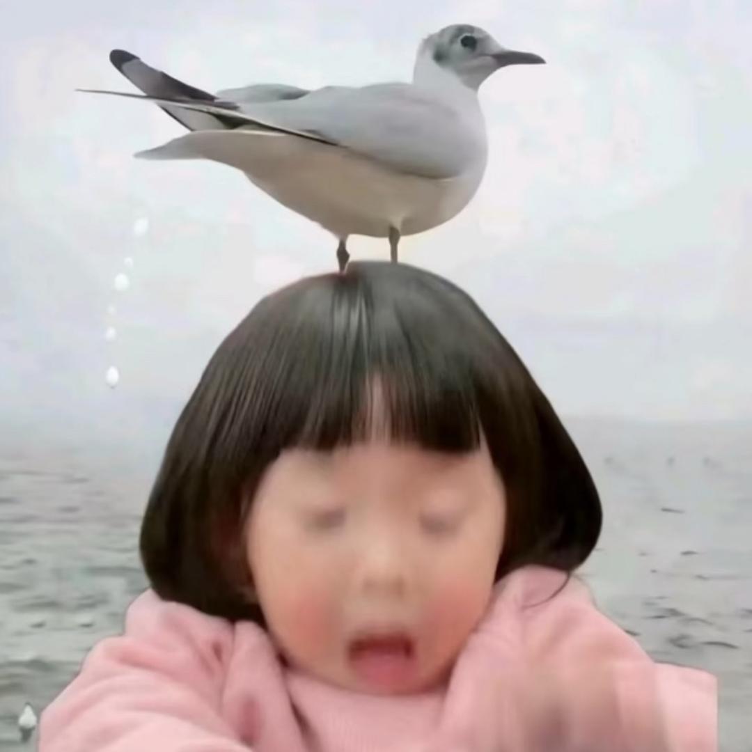 万事不拿女人撒气