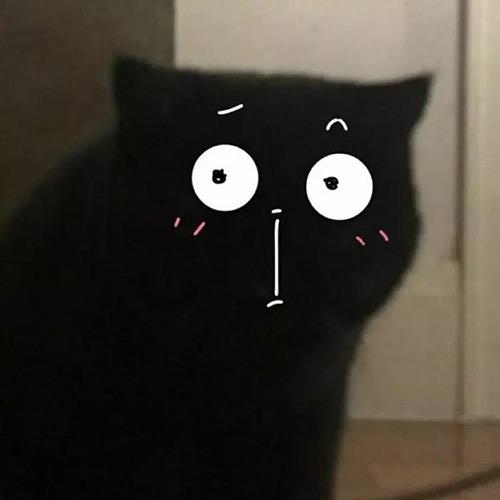 Bb