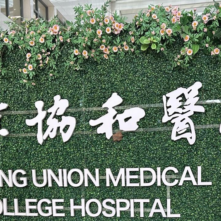 晓惈姐在京城