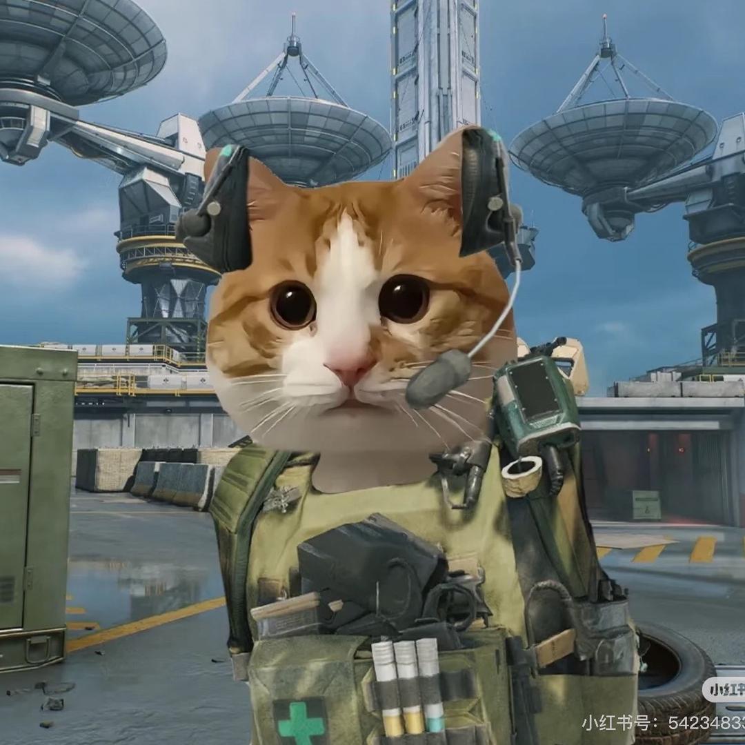 欢鹏精选小铺(三角洲行动)