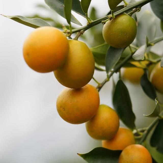 ✨自瑜～天蝎有毒….