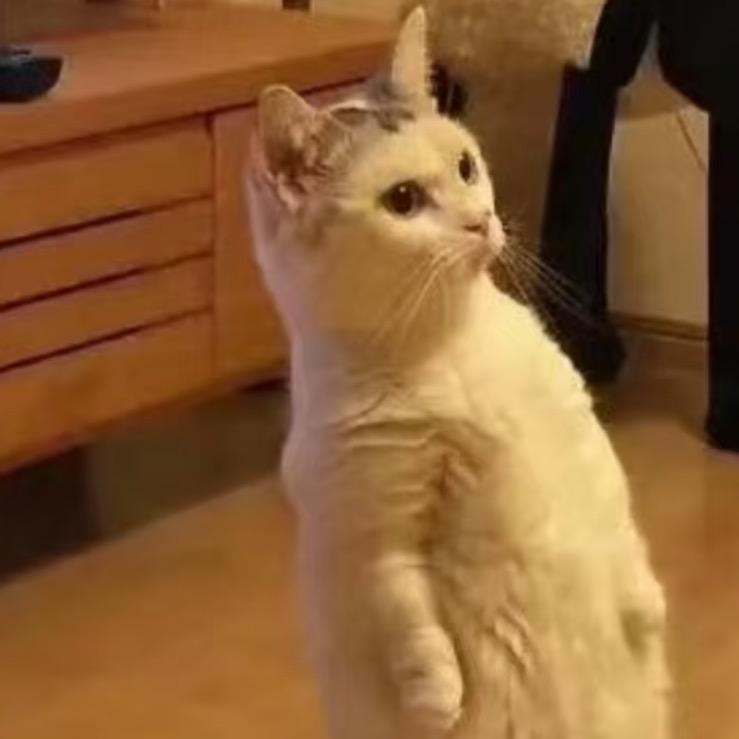 阿冷