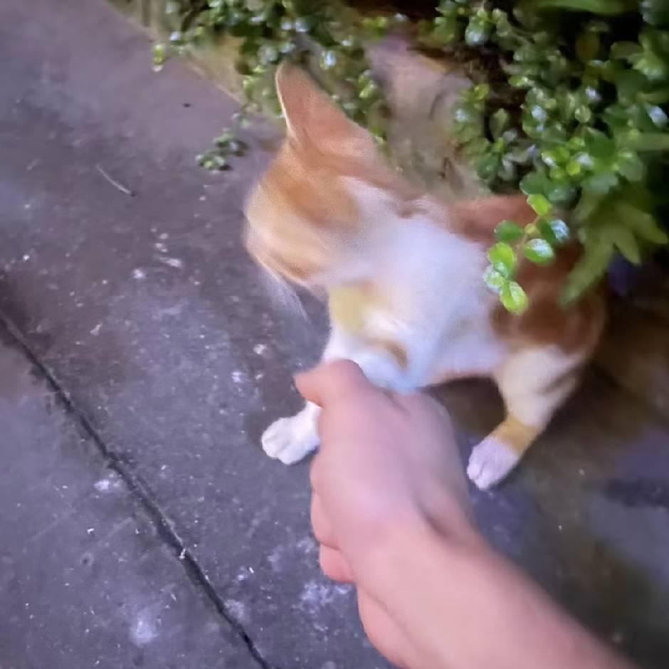 小邓