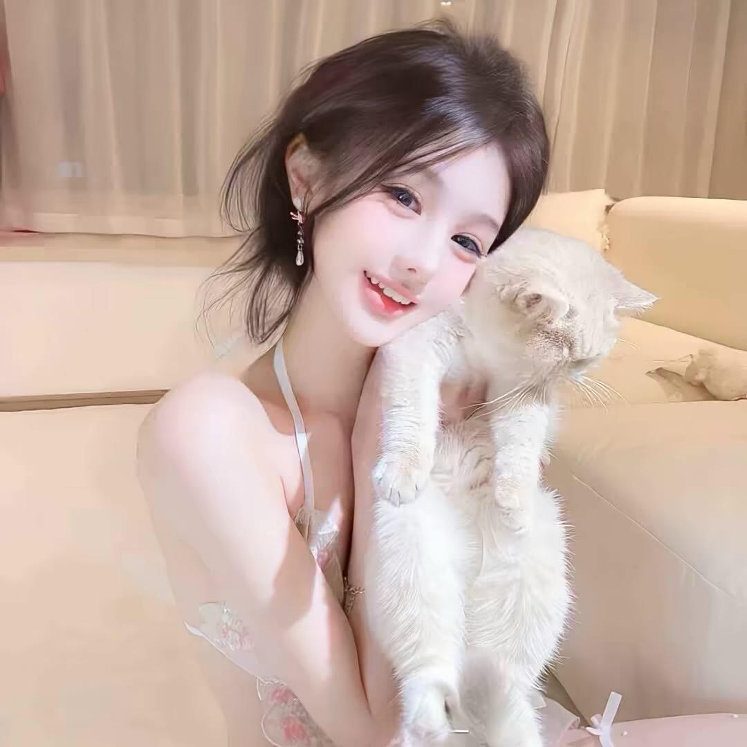 小歪🐱