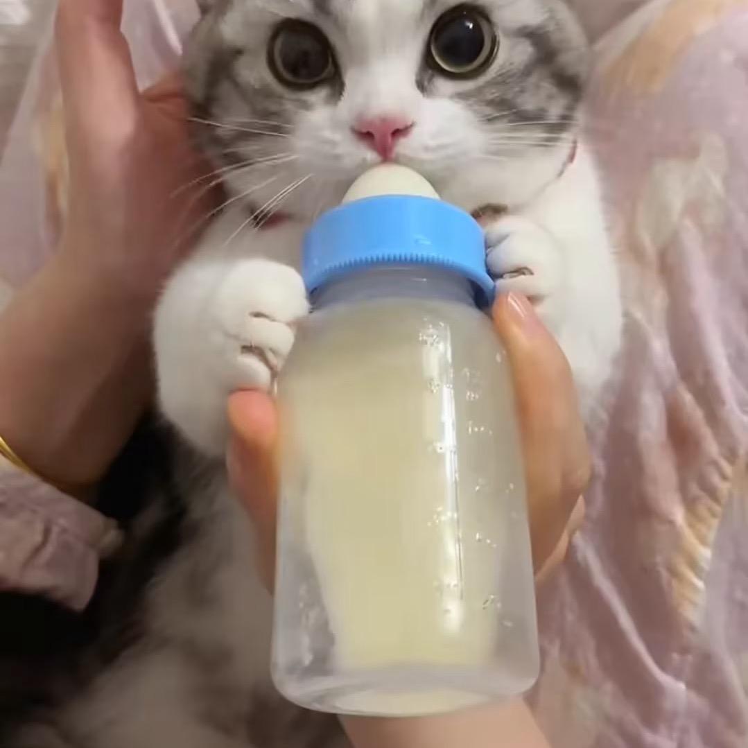，，，