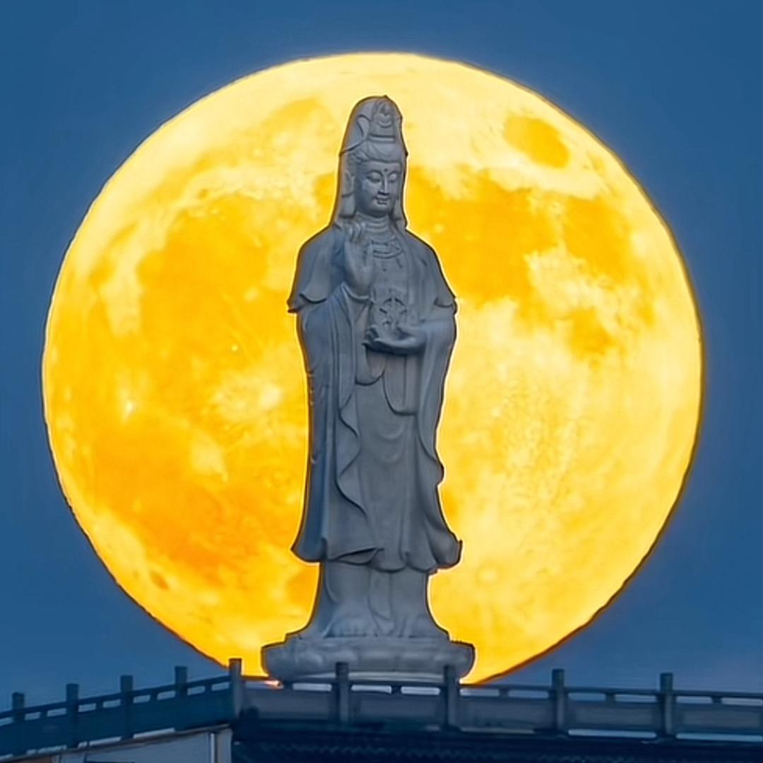 唯我独尊
