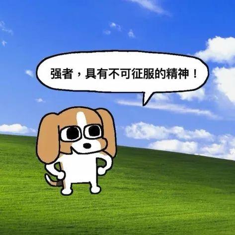 王木木