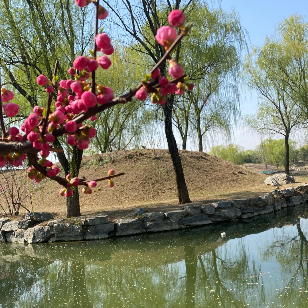 北京张姐爱上剪同款
