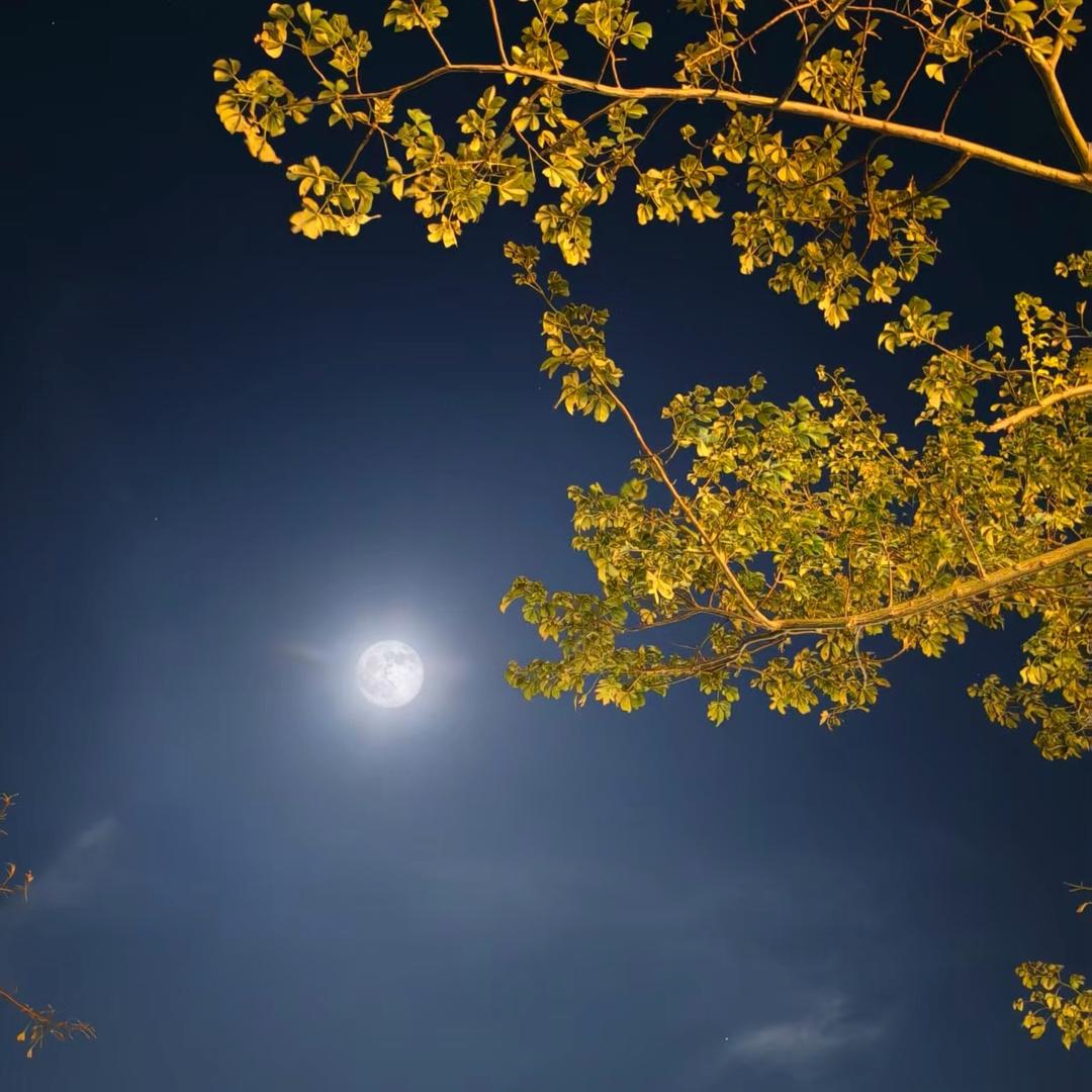 ঞᩚ᭄兜里半颗糖