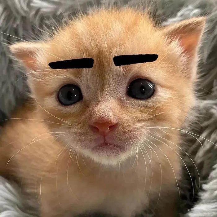 英英子🍣