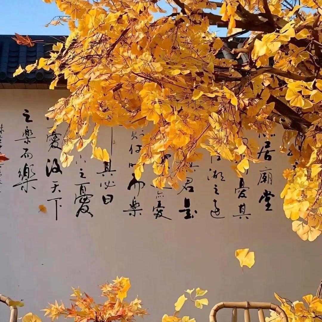 小铃铛🔔