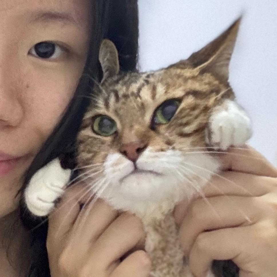 反方向的喵喵🫠