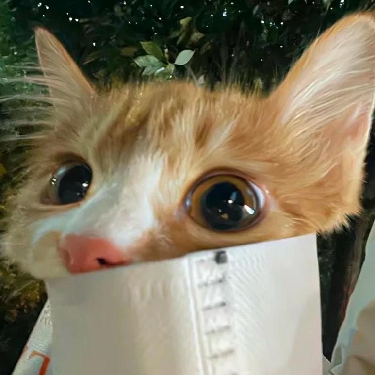天天