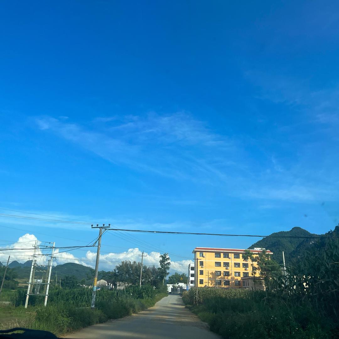 lu 楠楠