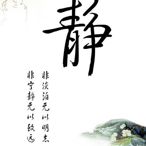 娴静🪷阅读