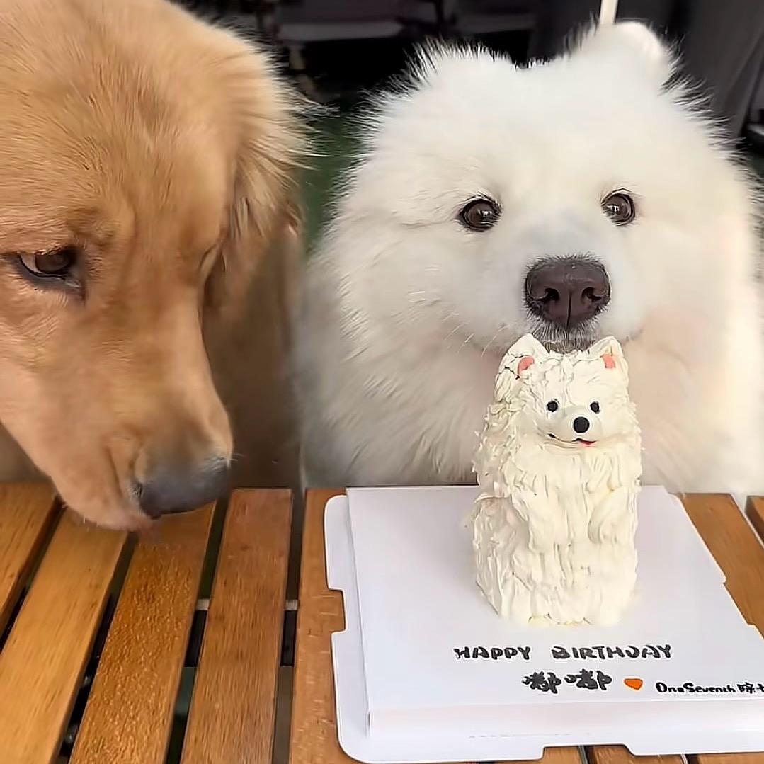 溪溪笑嘻嘻呀💛