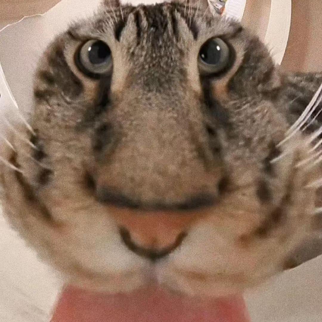 蓝绿窗