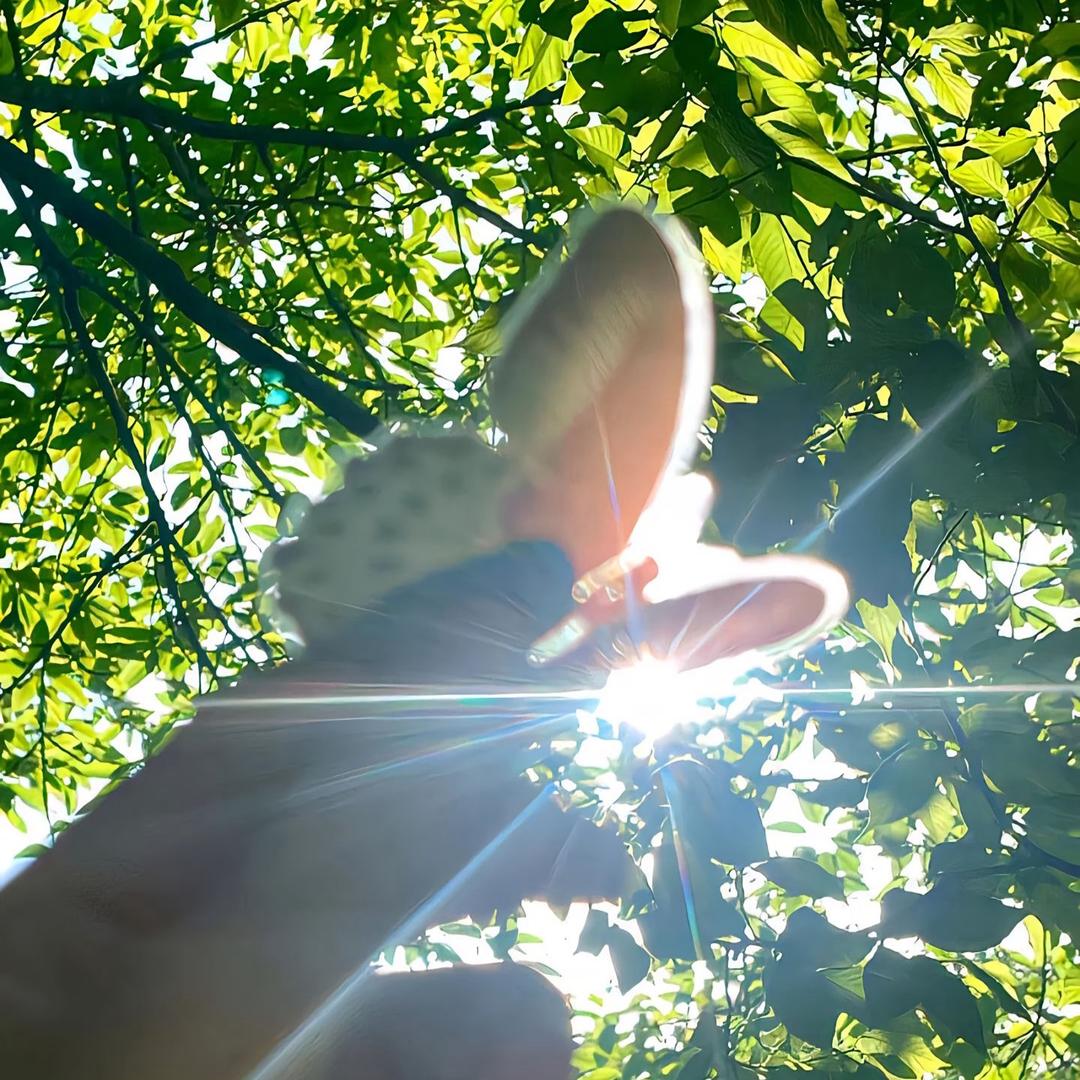 ꧁▇5̶2̶0̶1̶3̶1̶4̶▇꧂