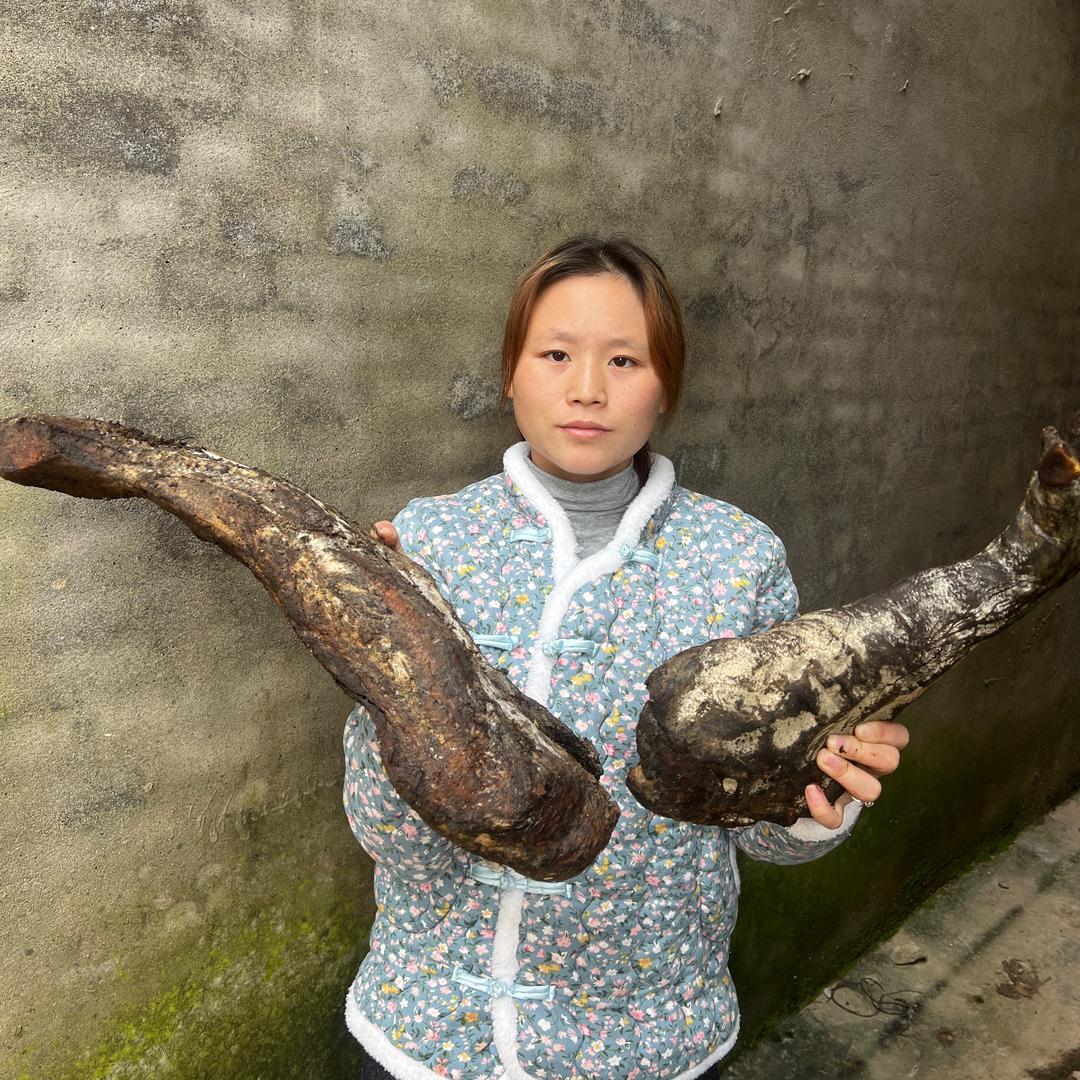 小梅在农村