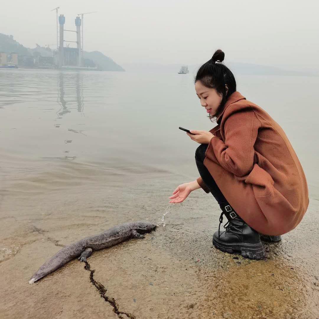 欣欣