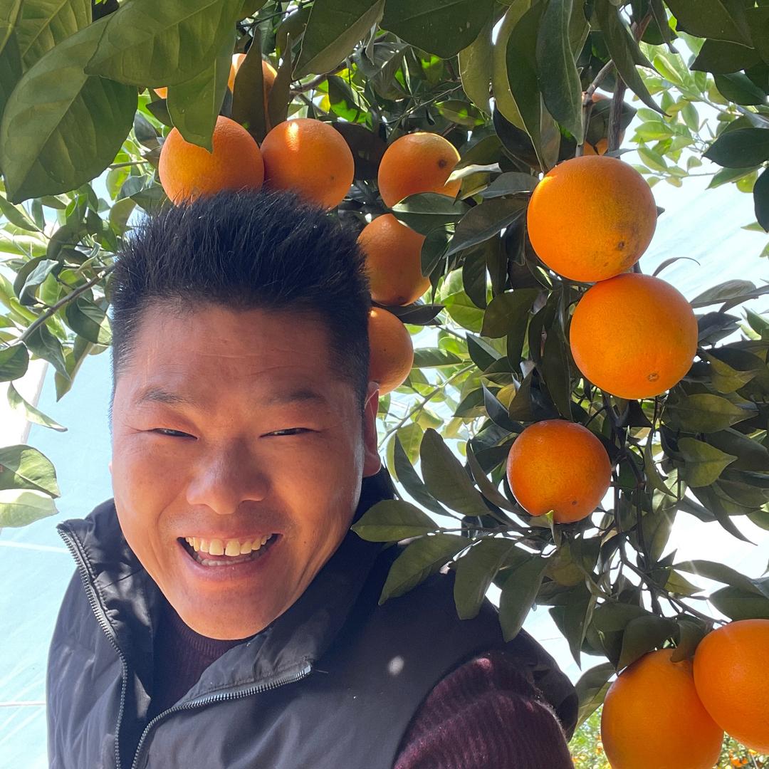 农场三哥水果供应链