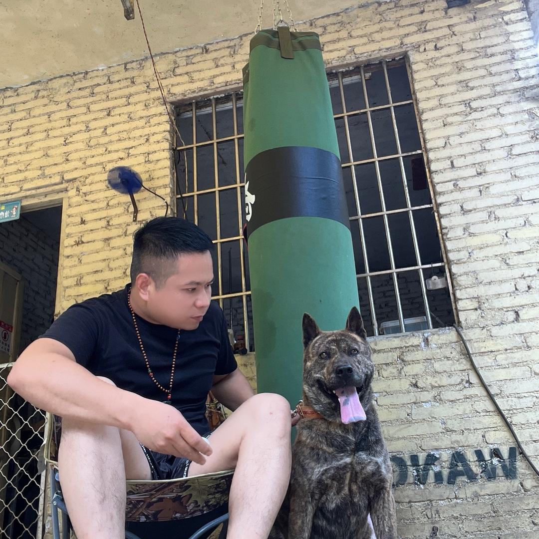 旺达犬业