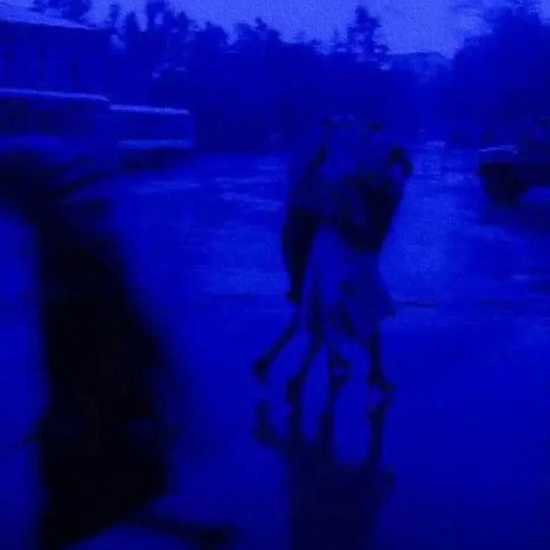 喜欢秋天待在凉亭里看着晚霞