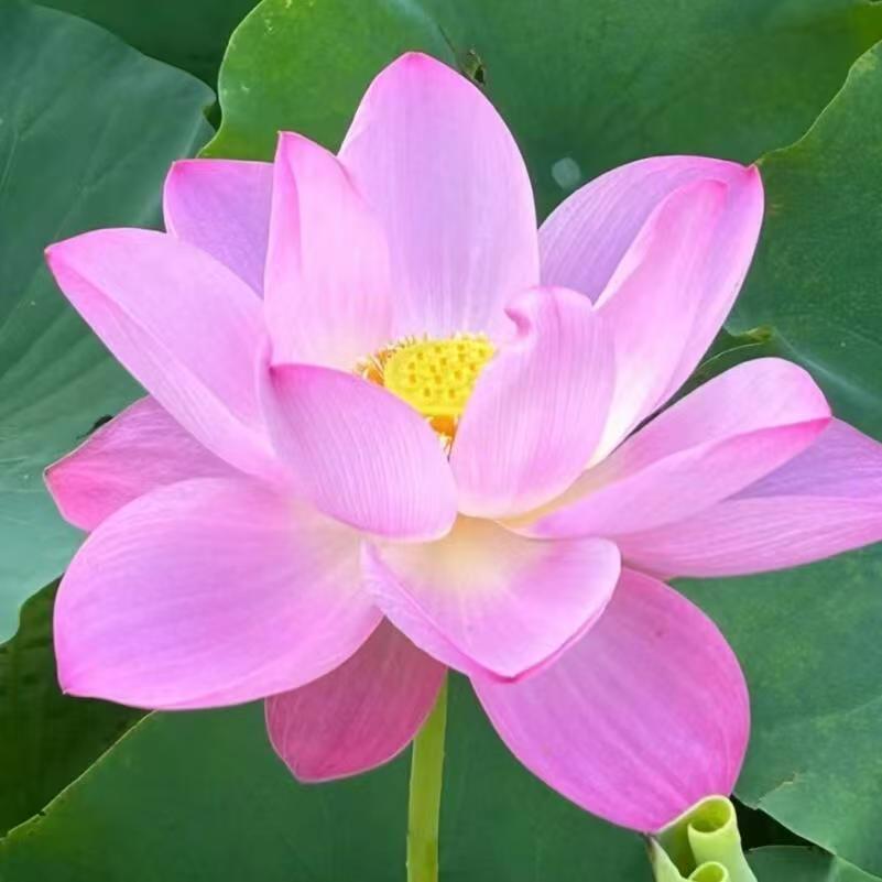 李姐优选推荐