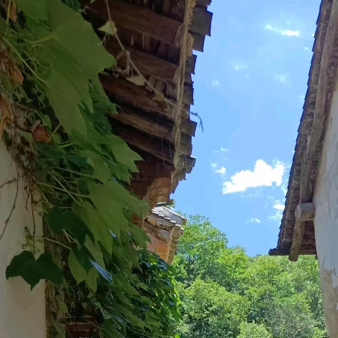 @入夏（减肥中）