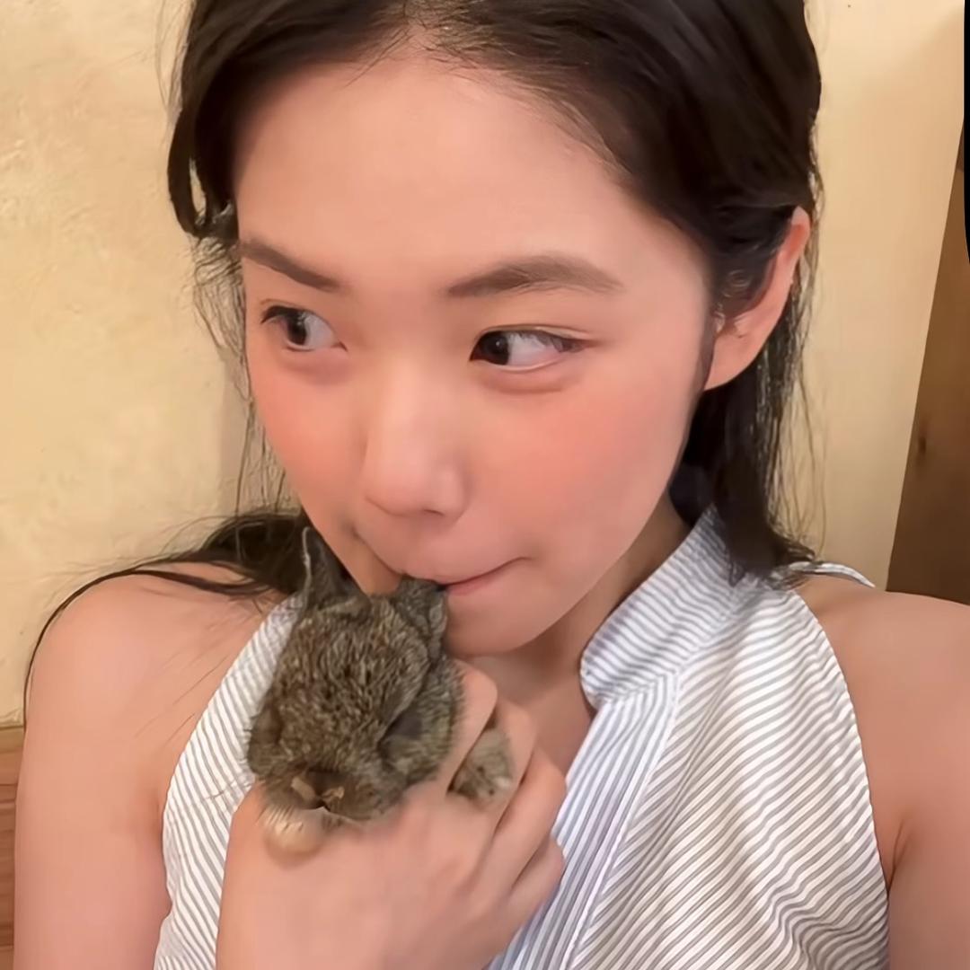 晚安小猫