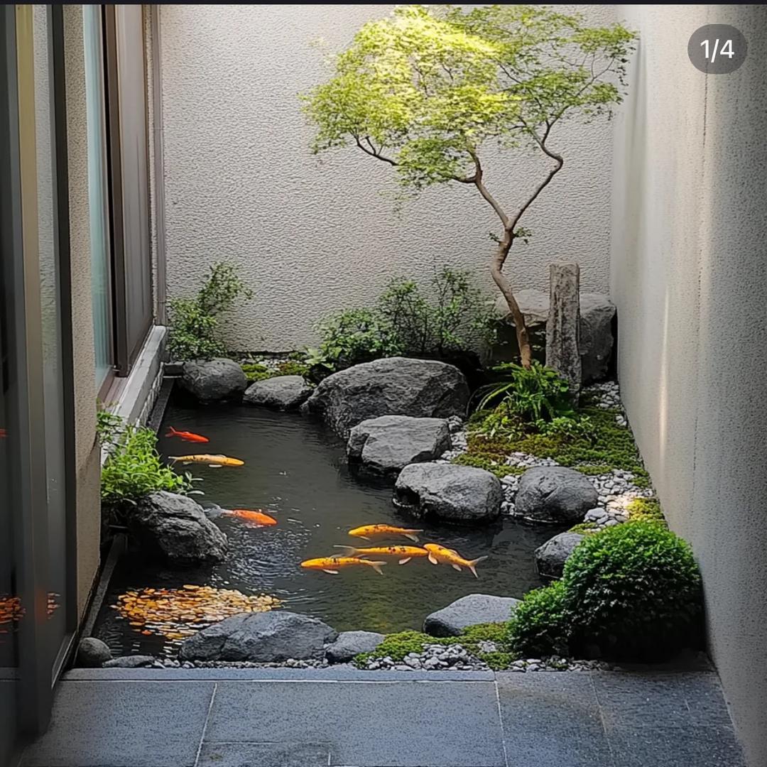 剑无心_