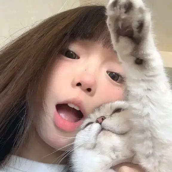 椰椰