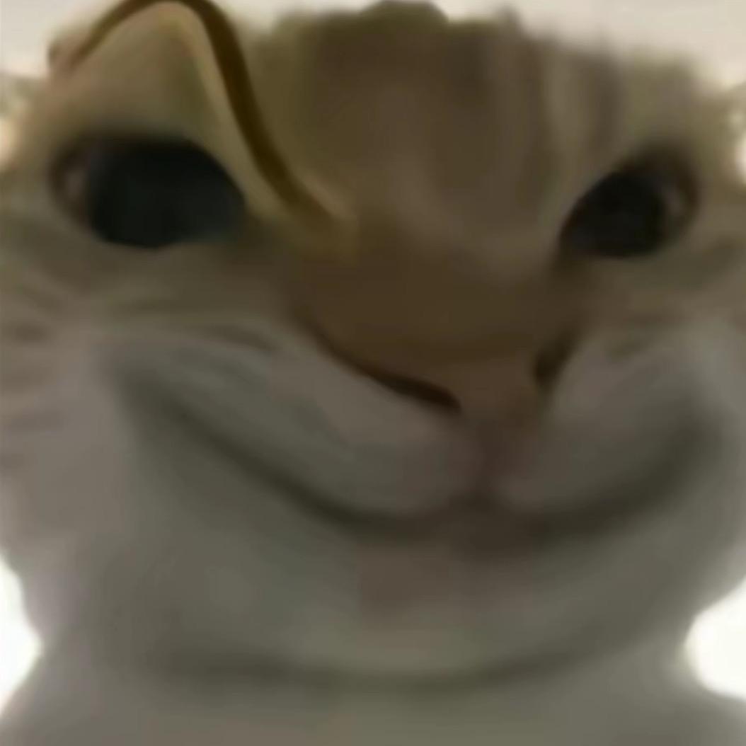 爱吃猫的鼠鼠🐭