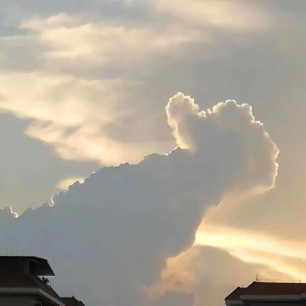 拾叁灬