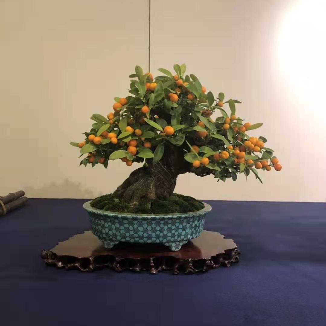 盆趣