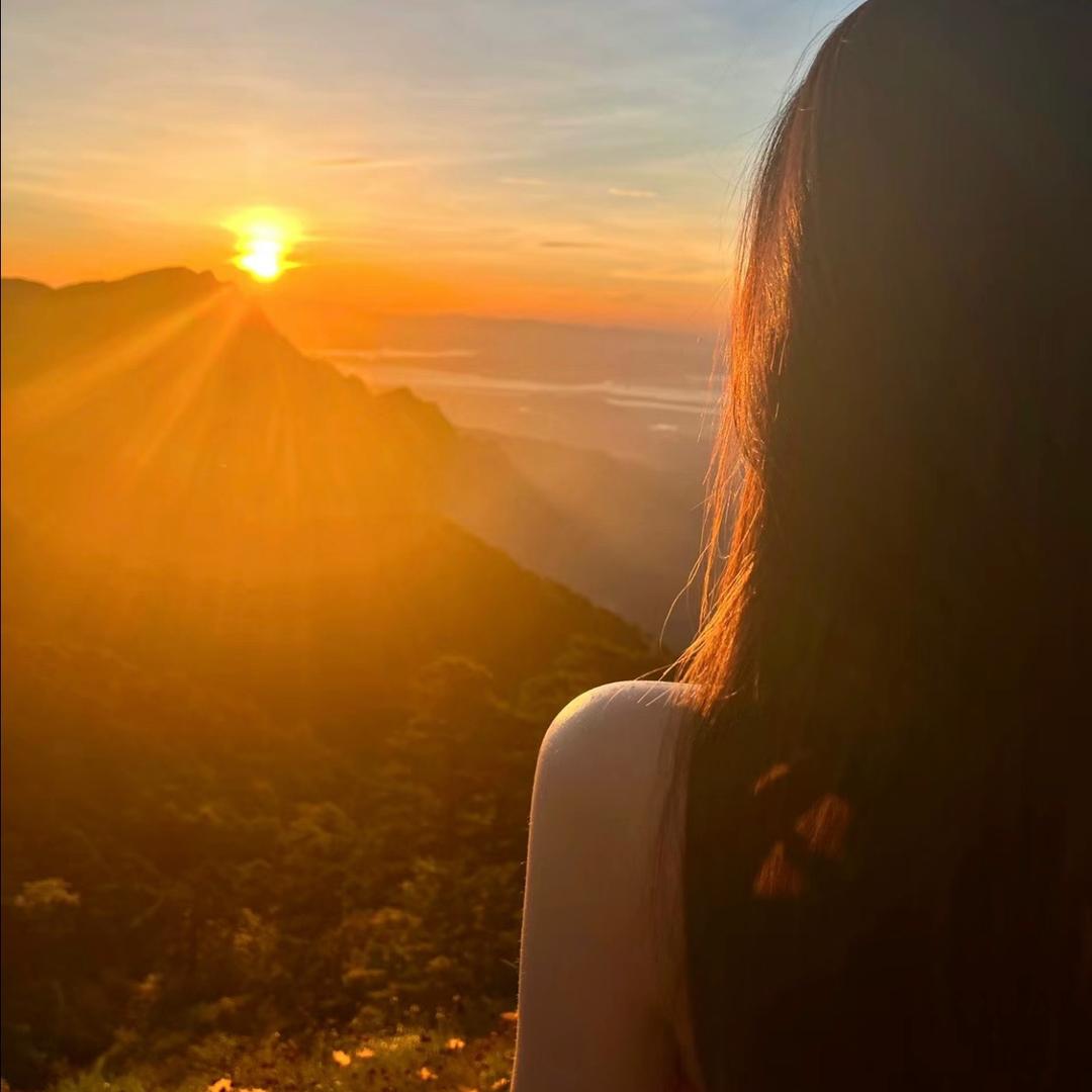 向日葵🌻