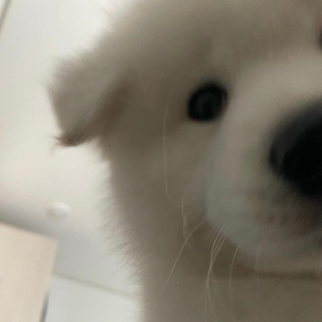 落梦池