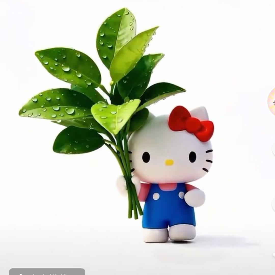 芝麻糊_