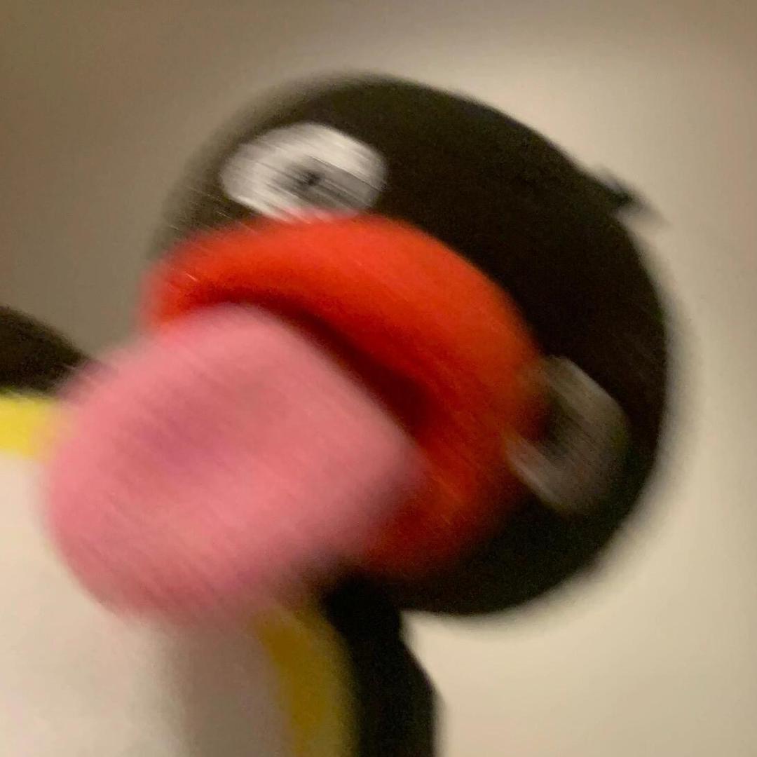 失眠小企鹅
