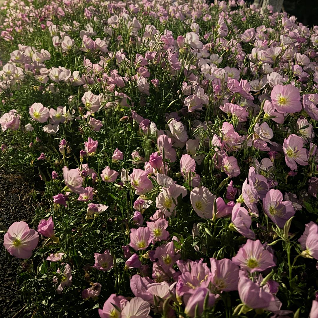 高高说电焊