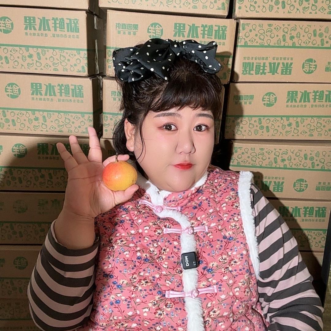 鞍山南果梨村干部天圆