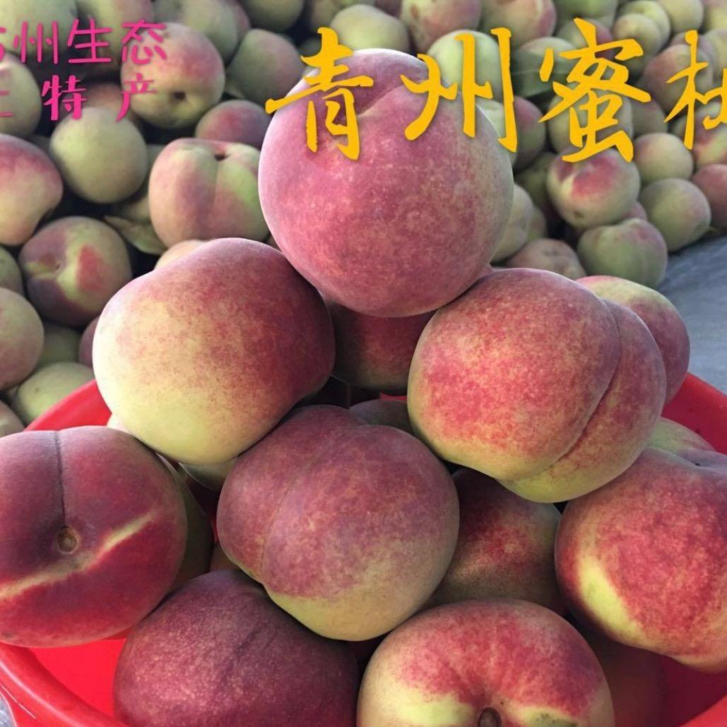 香果园农场