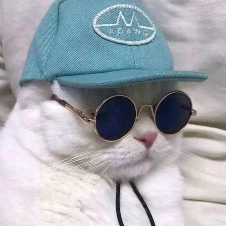 爱健身的梁同学