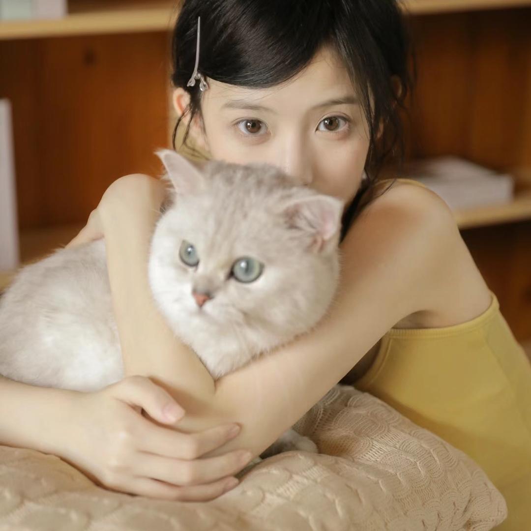 不喵的猫猫
